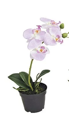Орхидея Фаленопсис искусственная в пластиковом горшке 15X6X17см 10018406
