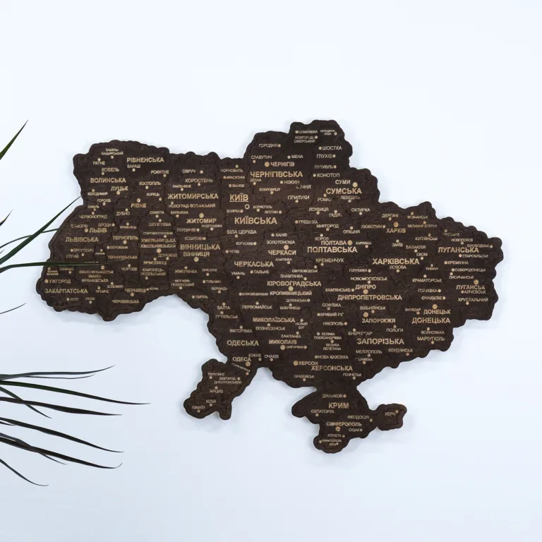 Мапа України настінна одношарова темна без коробки 55*38.5 см 13